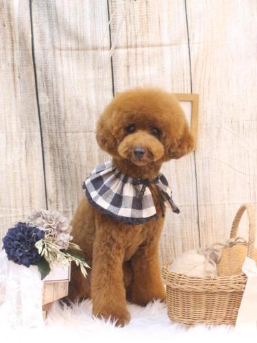 20241029ちょびちゃん